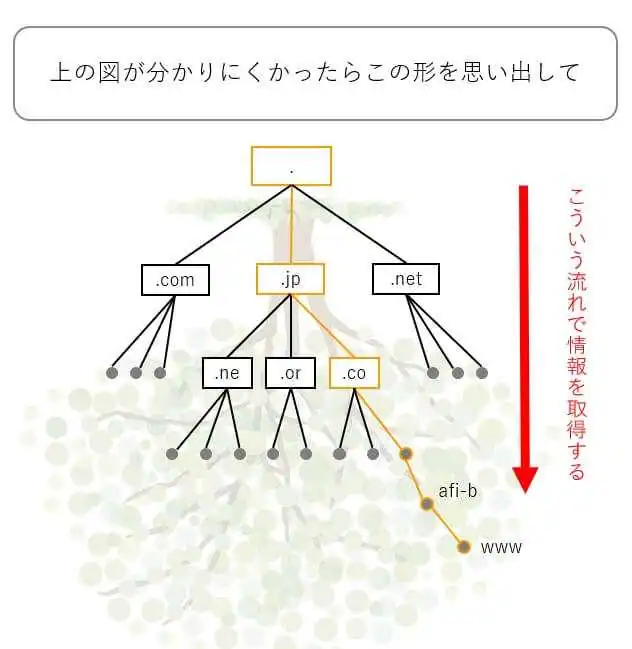 DNS情報取得の流れ