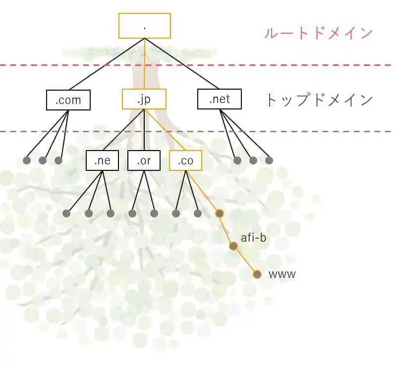 ドメインの構造