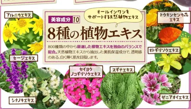 ピュアメイジング_8種の植物エキス