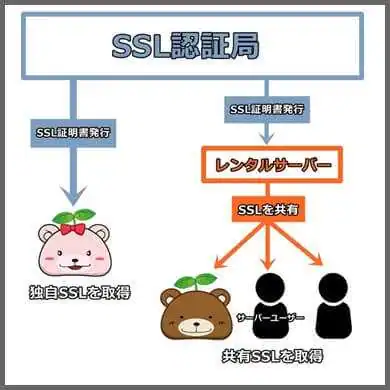 独自SSL_共有SSL_違い