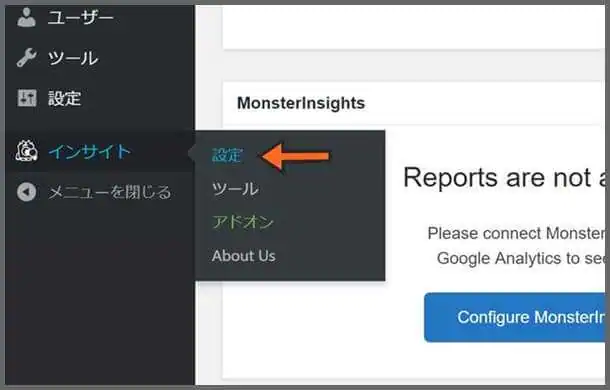 MonsterInsights_設定