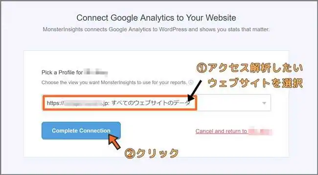 MonsterInsights_Google_Analytics_許可