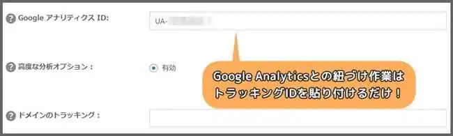 Google_Analytics_連携