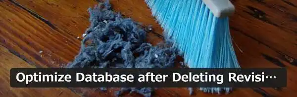 Optimize_Database_after_Deleting_Revisions