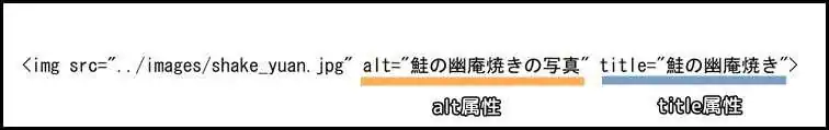 alt属性_title属性