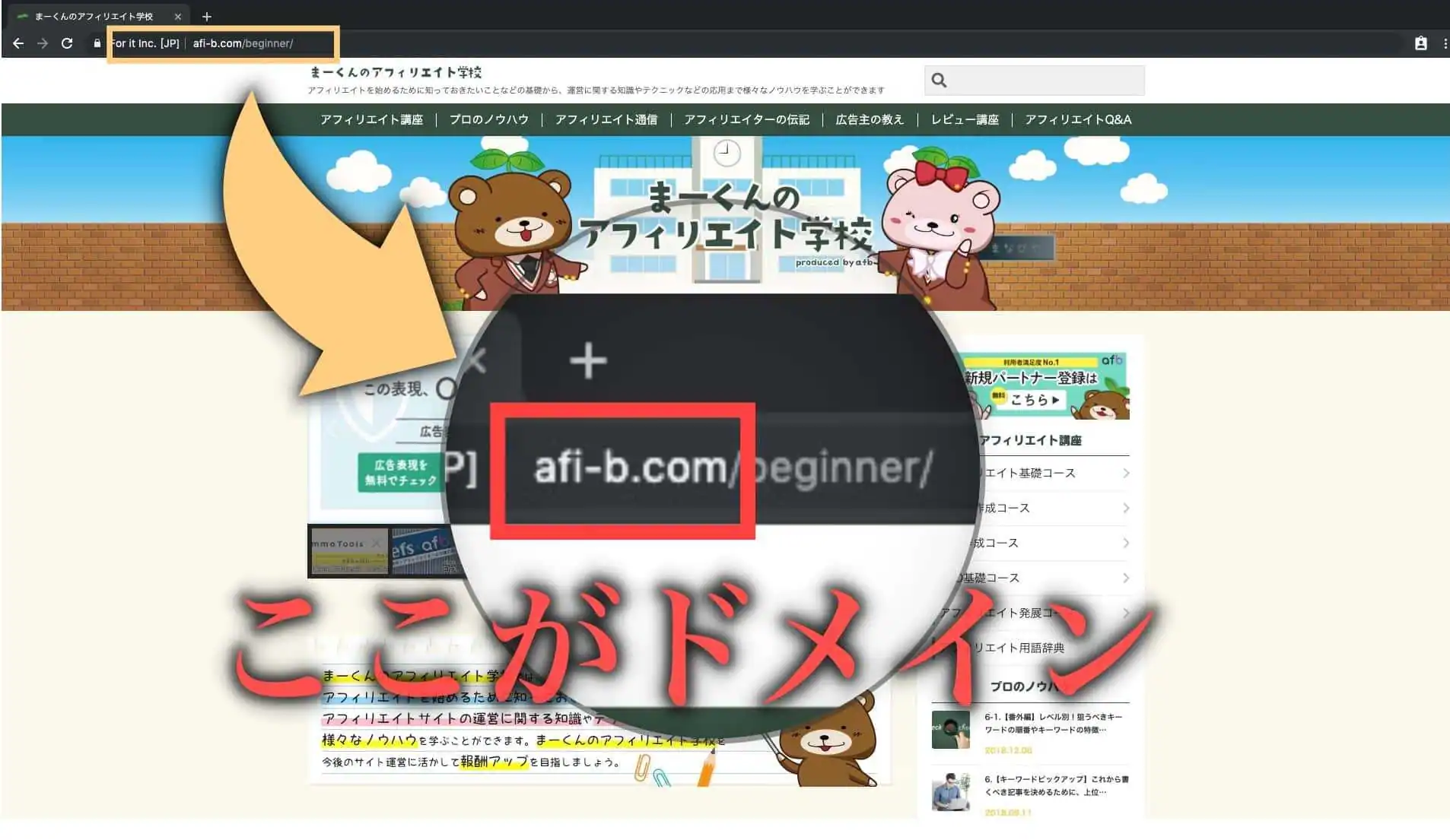 ドメインとは何かを教える画像