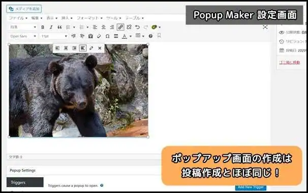 Popup_Maker_設定画面