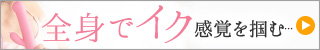 さくらの恋猫