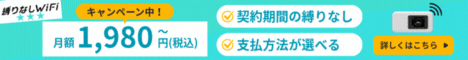 縛りなしWiFi