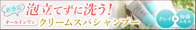 CLAYSEE SPA(クレイシースパ)
