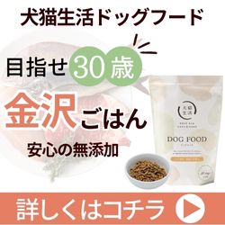 犬猫生活ドッグフード