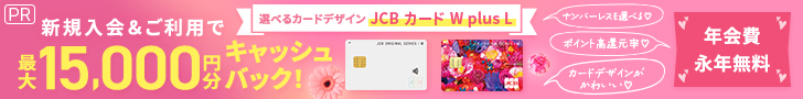 JCB CARD W/JCB CARD W plus L