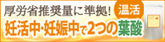 ショウガ葉酸