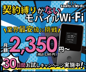 それがだいじWi-Fi【30GBプラン(縛りあり)新規開通】