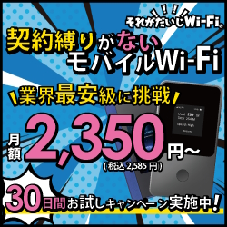 それがだいじWi-Fi