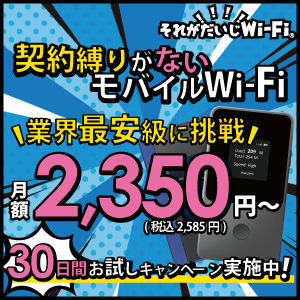 それがだいじWi-Fi