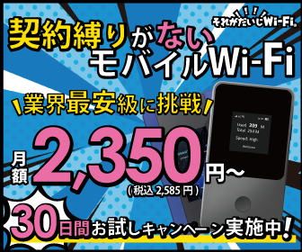 それがだいじWi-Fi