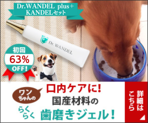 Dr.wandel ドクターワンデル 30g 愛犬の歯周病予防 愛犬用