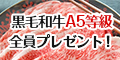 保険ONLINE