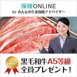 保険ONLINE