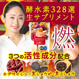 酵水素328選生サプリメント 燃