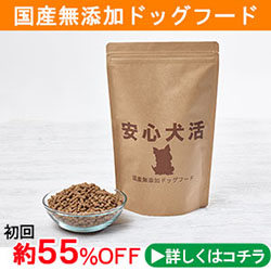 安心犬活