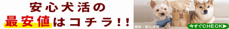 安心犬活