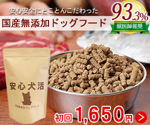 安心犬活
