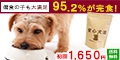 安心犬活