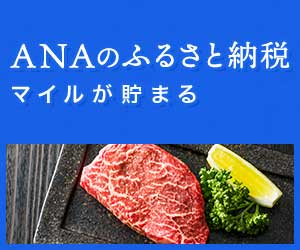 ANAのふるさと納税