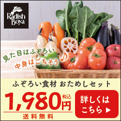 不揃いの野菜のお試しセット