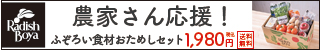 不揃いの野菜のお試しセット