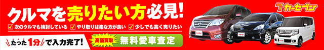 カーセブン_車