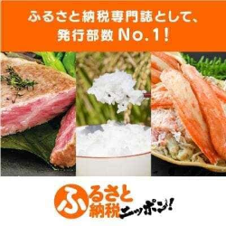 ふるさと納税ニッポン！