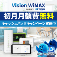 Vision WiMAX