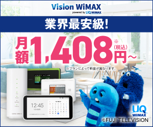 Vision WiMAX