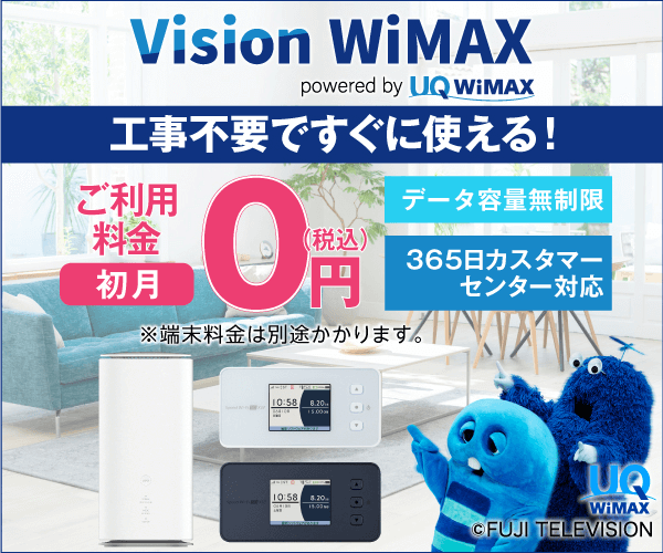 Vision WiMAX