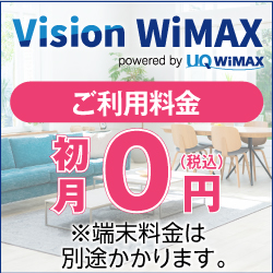Vision WiMAX