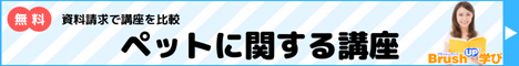 ペット