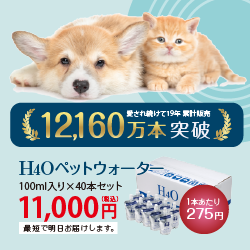 H4Oペットウォーター