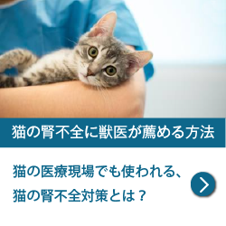 H4Oペットウォーター