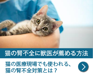 H4Oペットウォーター