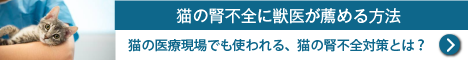 H4Oペットウォーター