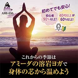 AMI-IDA（アミーダ）