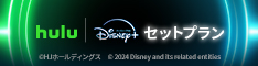 Hulu | Disney+ セットプラン
