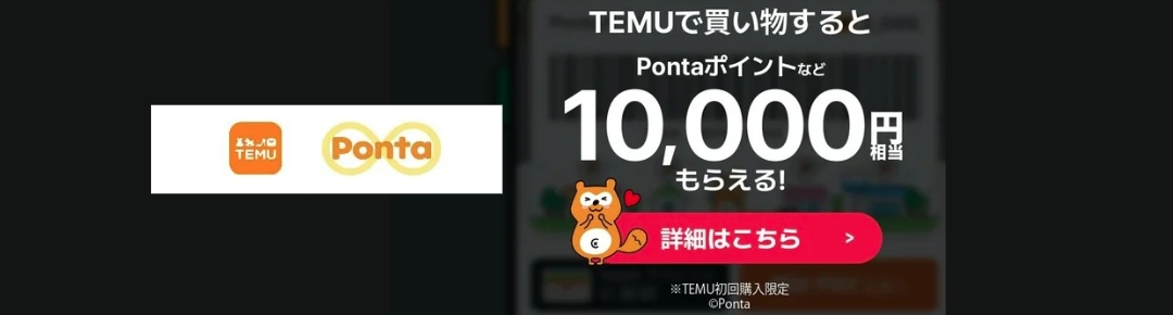 Ponta10,000ポイント⑰