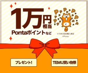 Ponta10,000ポイント⑬