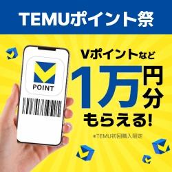Vポイント