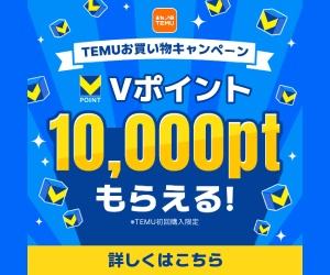 Vポイント