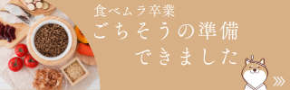 きょうもごちそう